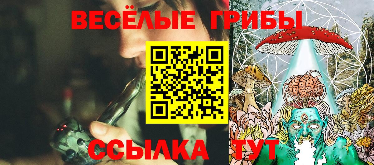 Галлюциногенные грибы мухоморы Саяногорск